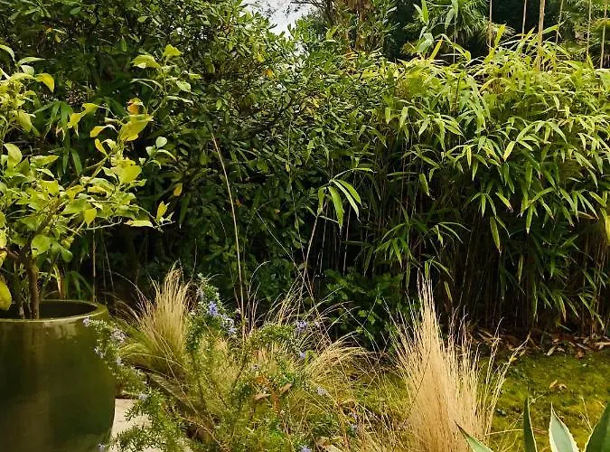 شقة Le Quatre Allee Stella *