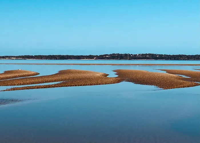 Le Quatre Allee Stella *